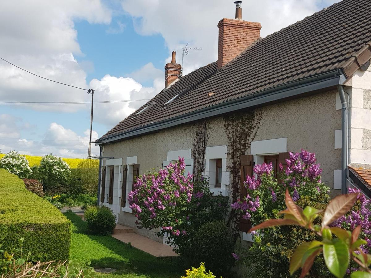 Chambres D'Hotes Anne-Marie Châtillon-sur-Indre Zewnętrze zdjęcie