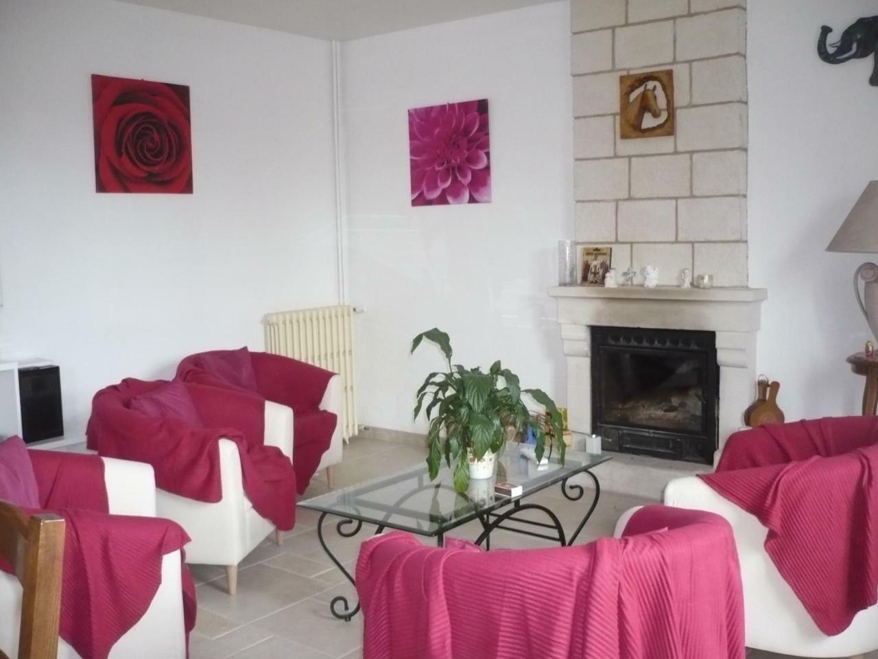 Chambres D'Hotes Anne-Marie Châtillon-sur-Indre Zewnętrze zdjęcie
