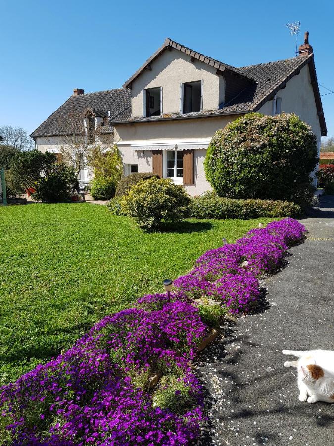 Chambres D'Hotes Anne-Marie Châtillon-sur-Indre Zewnętrze zdjęcie